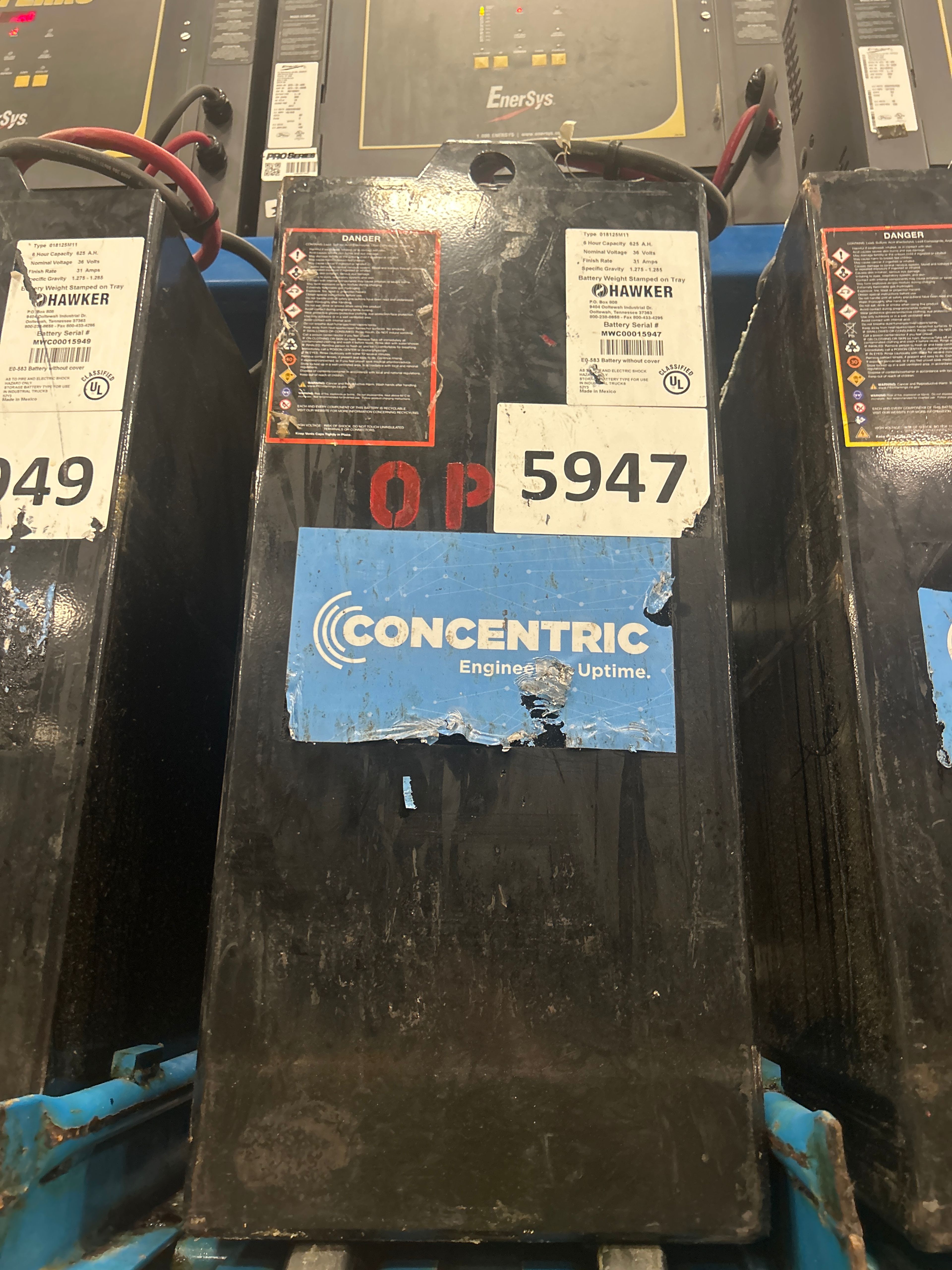 36 Volt Enersys Battery